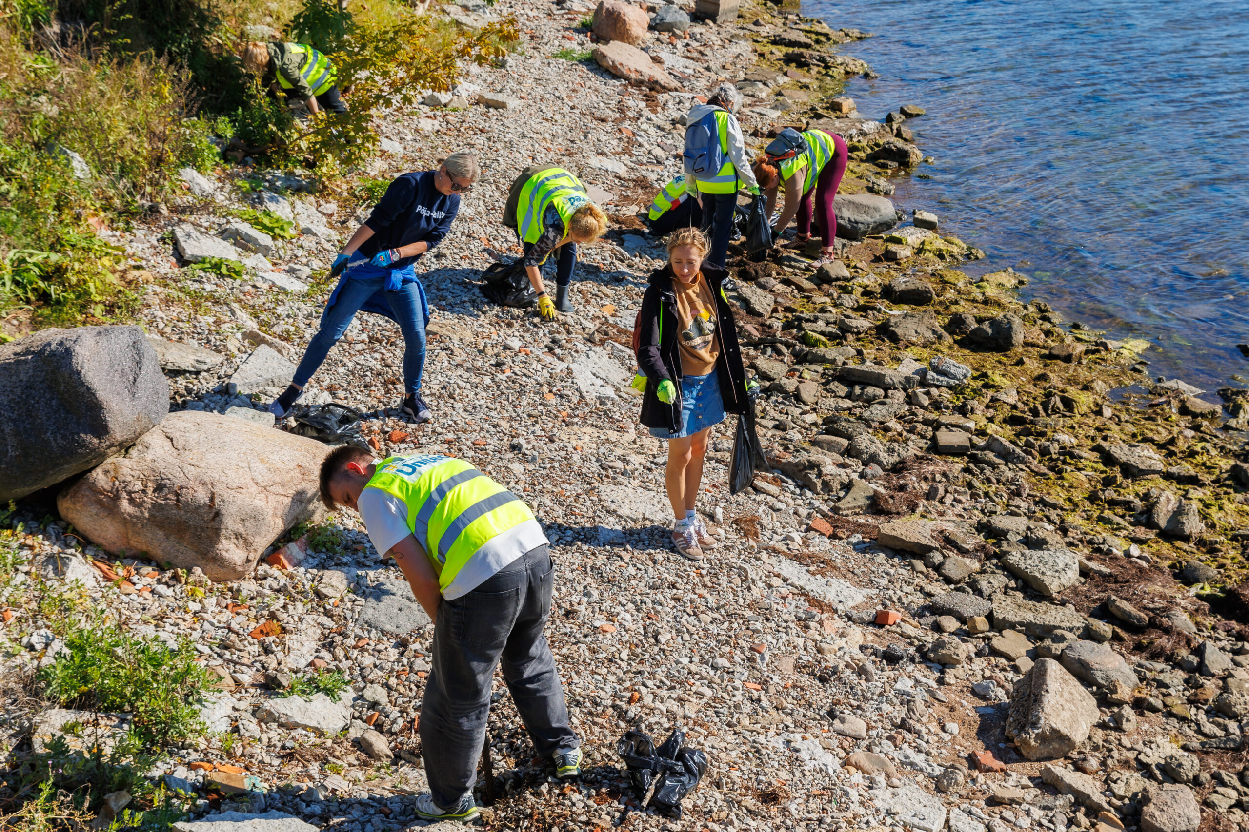 Suvised keskkonnamatkad Tallinna rannikualadel. TASUTA!