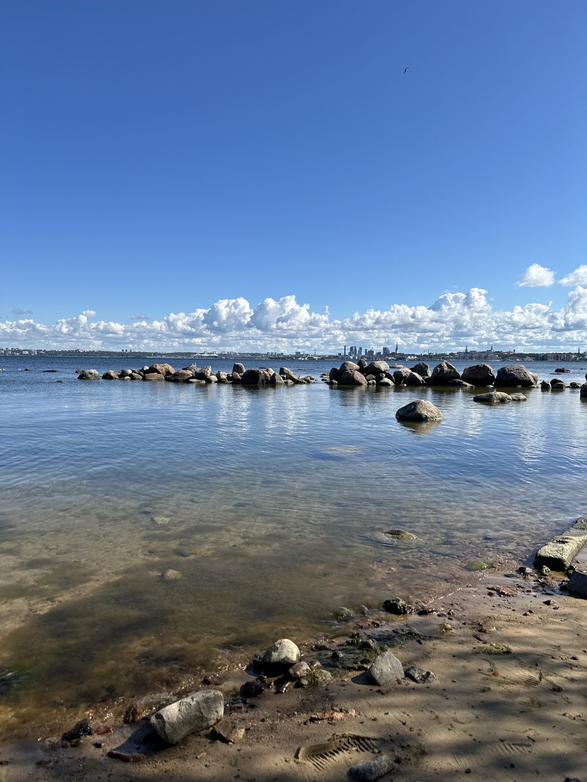 Suvised keskkonnamatkad Paljassaare hoiualal. TASUTA!